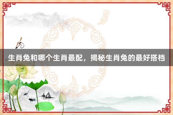 生肖兔和哪个生肖最配，揭秘生肖兔的最好搭档