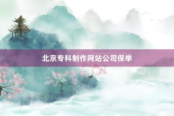 北京专科制作网站公司保举
