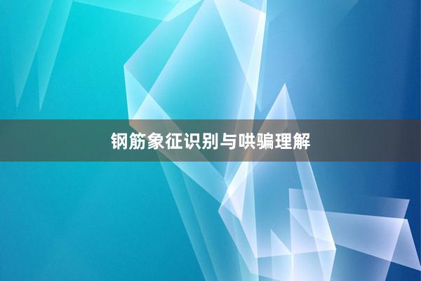 钢筋象征识别与哄骗理解