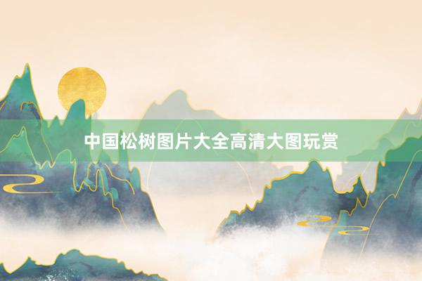 中国松树图片大全高清大图玩赏